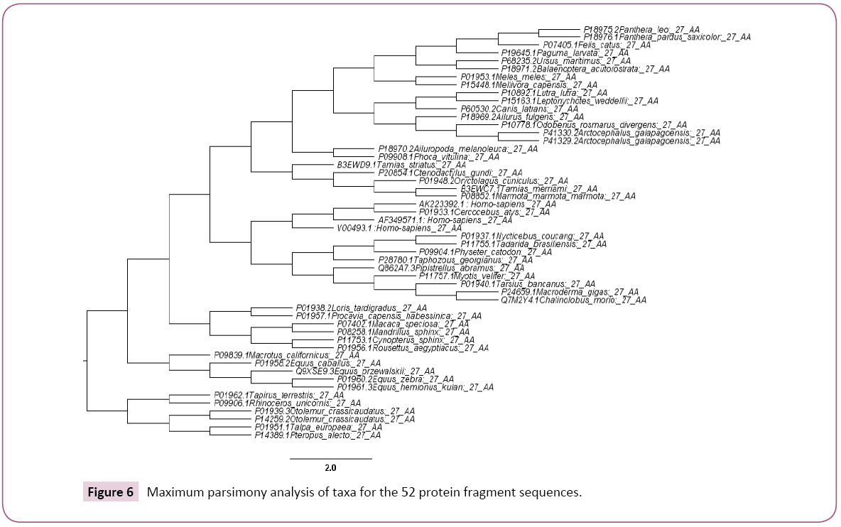 cellular-molecular-medicine-Maximum-parsimony