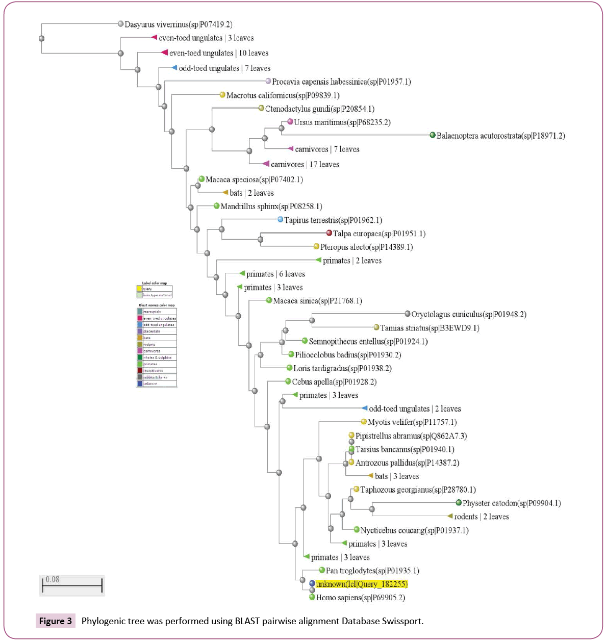 cellular-molecular-medicine-Phylogenic-tree