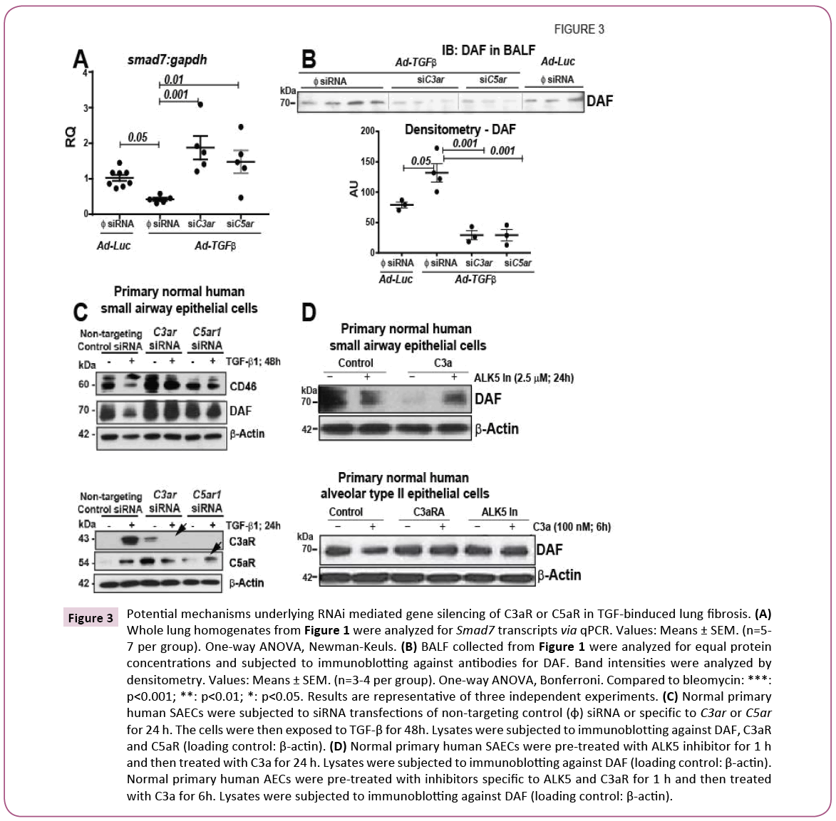 cellular-molecular-medicine-Potential-mechanisms