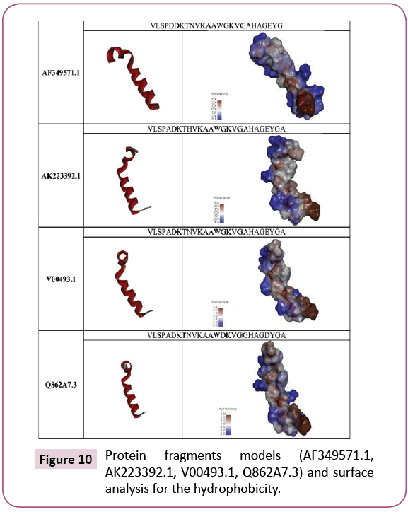 cellular-molecular-medicine-Protein-fragments