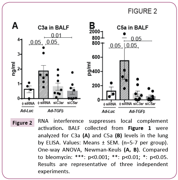 cellular-molecular-medicine-RNA-interference