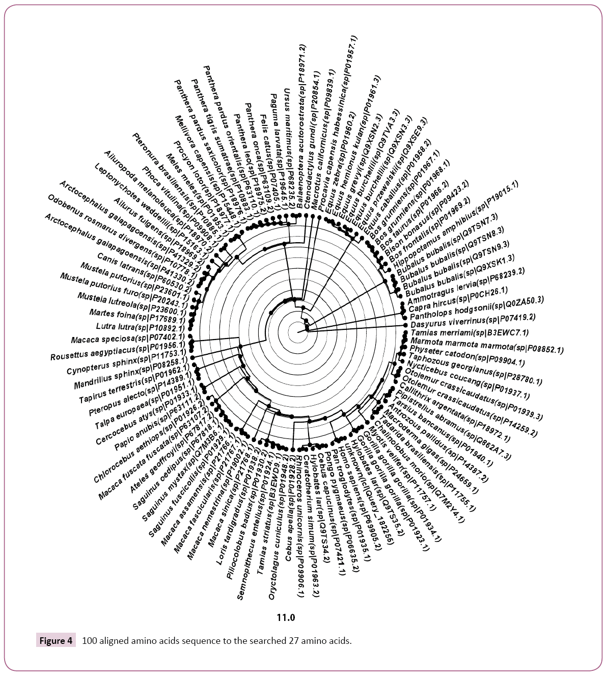 cellular-molecular-medicine-aligned-amino