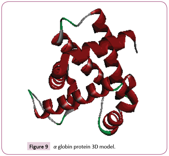 cellular-molecular-medicine-globin-protein