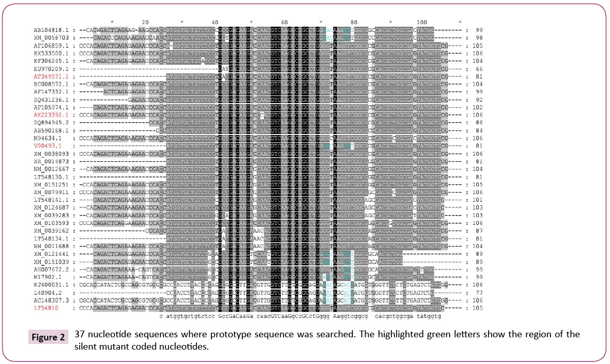 cellular-molecular-medicine-nucleotide-sequences