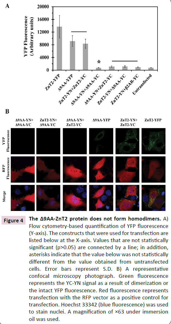 cellular-molecular-medicine-positive-control-transfection