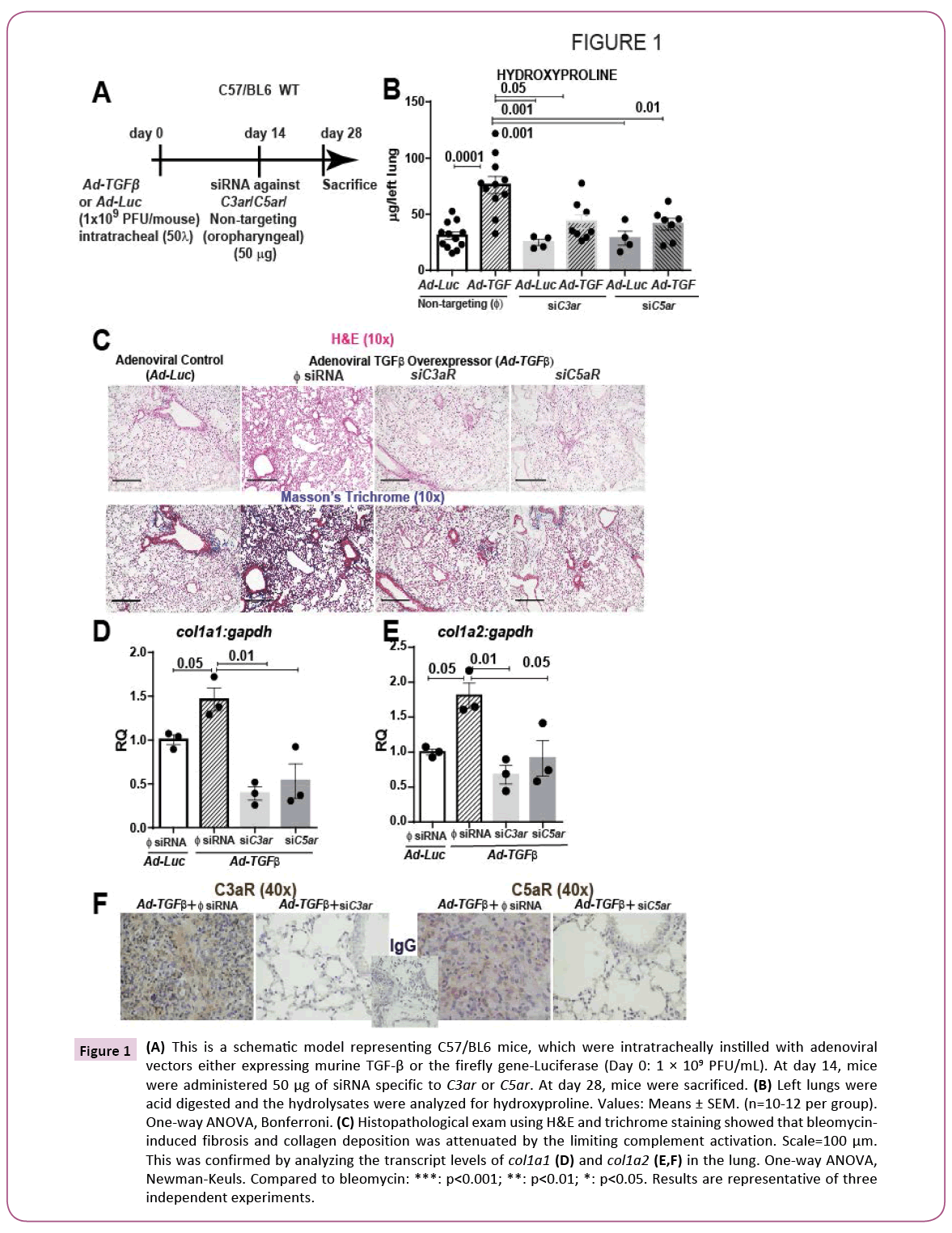 cellular-molecular-medicine-schematic-model