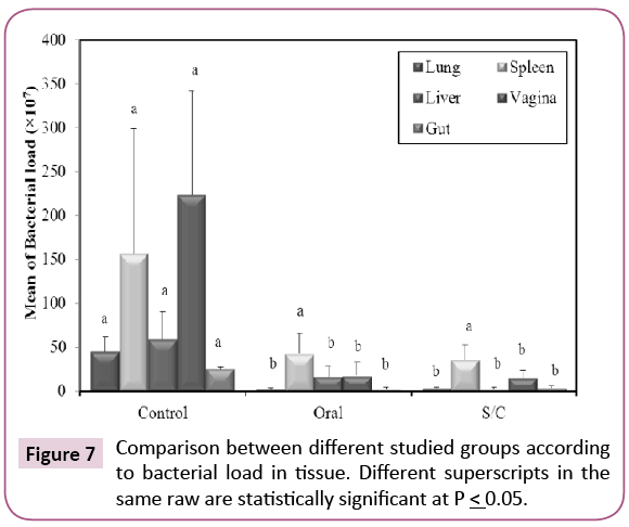 cellular-molecular-medicine-studied-groups